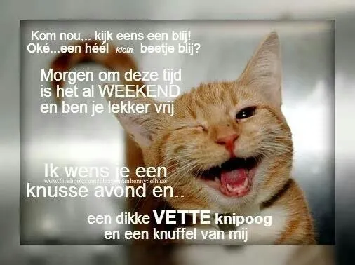 Blij kat met tekst over het weekend en wensen voor een knusse avond.