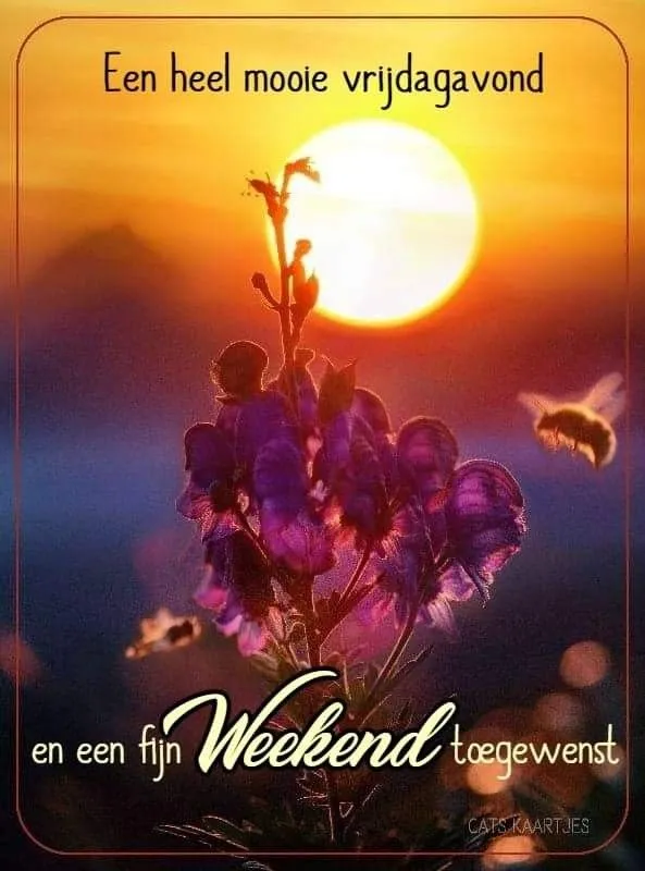 Zonsondergang achter paarse bloemen met tekst over het weekend.