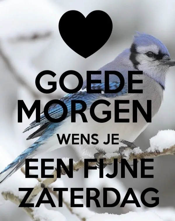 Een blauwe vogel op een tak met de tekst "Goede morgen" en "Een fijne zaterdag".