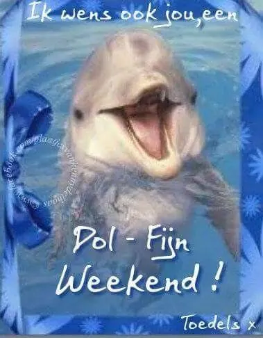 Dolfijn glimlacht en wenst een fijn weekend met een versierde achtergrond.