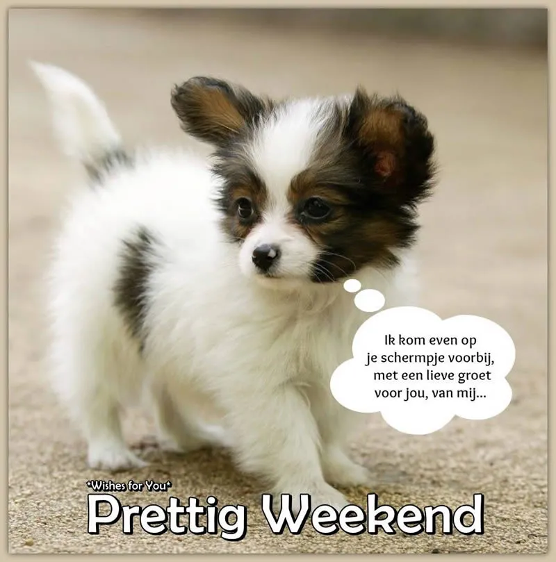 Schattige puppy met een tekstballon en 'Prettig Weekend' onderaan.