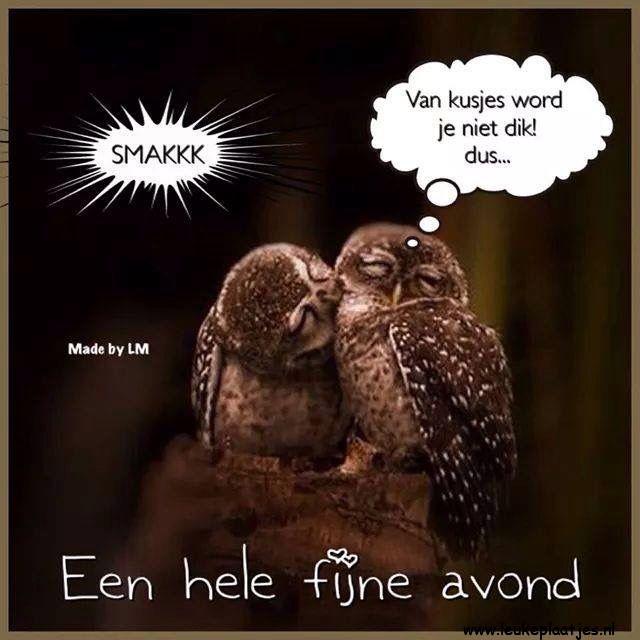 ᐅ fijne avond afbeeldingen - Fijne avond plaatjes