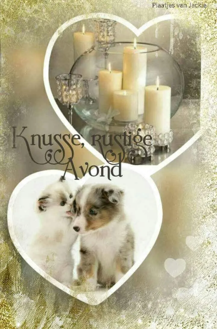 Kaarsen en schattige pupjes in een romantische sfeer. Knusse avond.