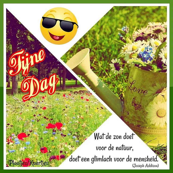 Kleurige bloemenweide met een gietkan en de tekst 'Fijne Dag'.