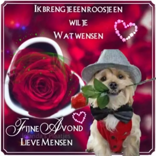 Hond in kostuum met roos voor een achtergrond van boeken en harten.