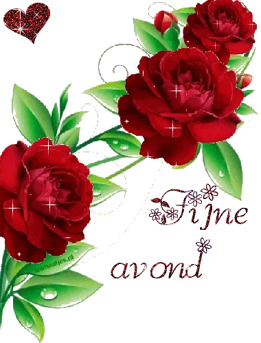 Een sfeervolle avond met bloemen en een lichtbol. Tekst "Fijne Avond."