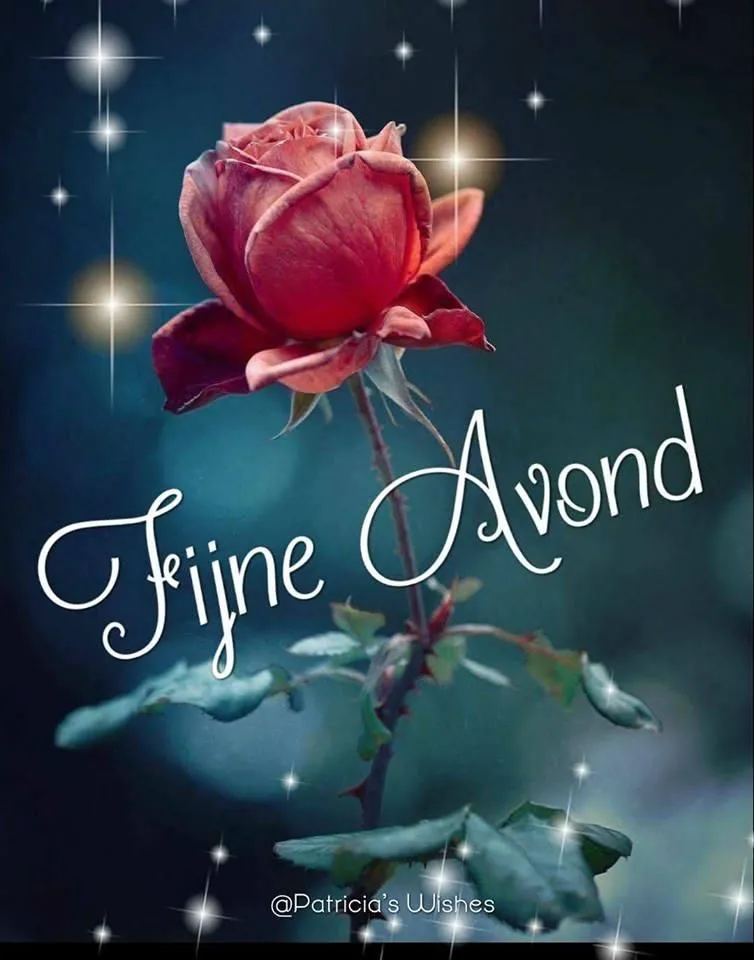 Een rode roos met de tekst "Fijne Avond" en een sfeervolle achtergrond.
