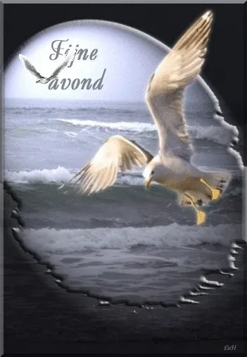 Oranje kat bij kleurrijke paaseieren en bloemen, met een vlinder op de achtergrond.