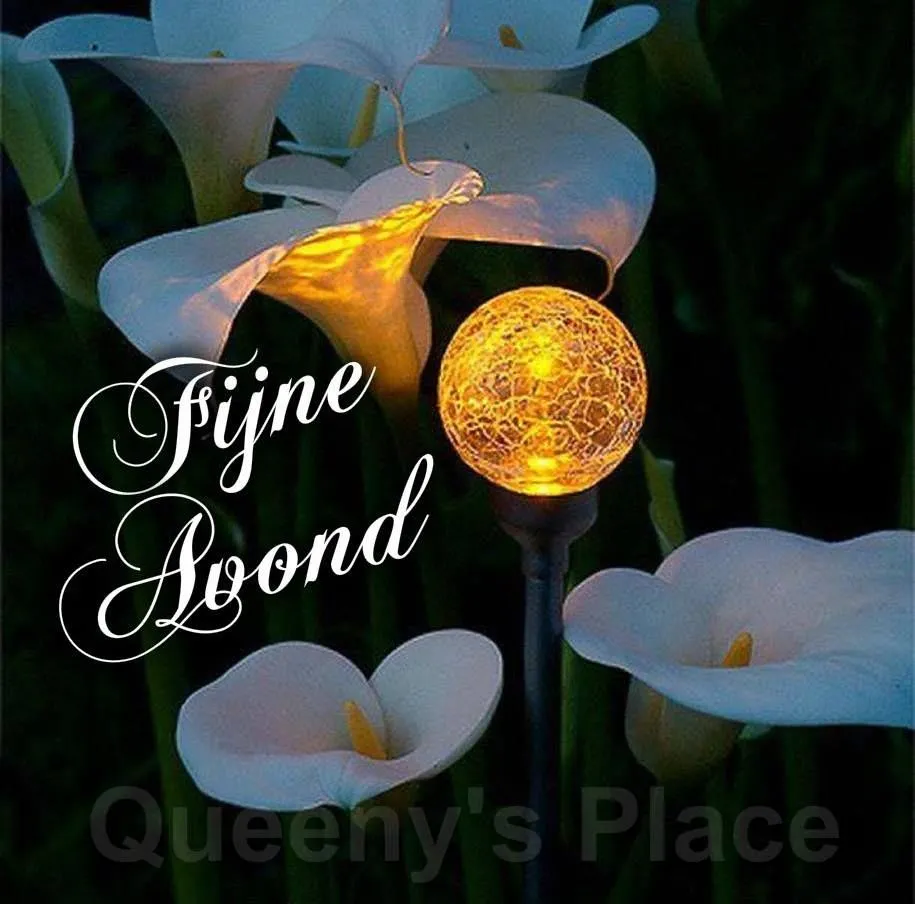 Witte lelies met een verlichte bol en de tekst "Fijne Avond" erop.