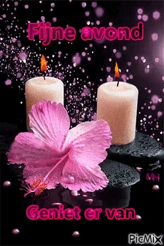 Een gezellig vogelhuisje met vogels en een winterse achtergrond. Fijne boodschap voor de avond.