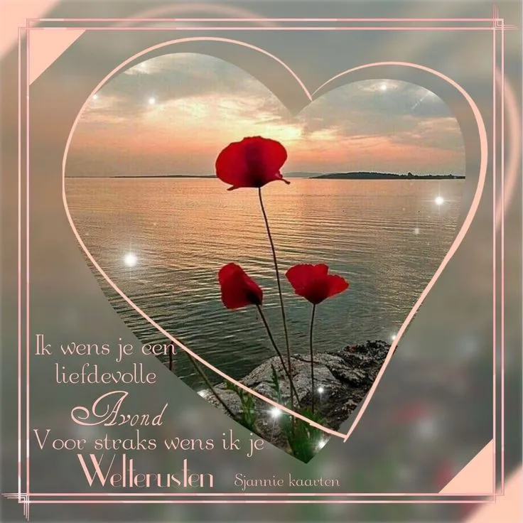 Landschap bij zonsondergang met bloemen en een boodschap van goede avondwensen.