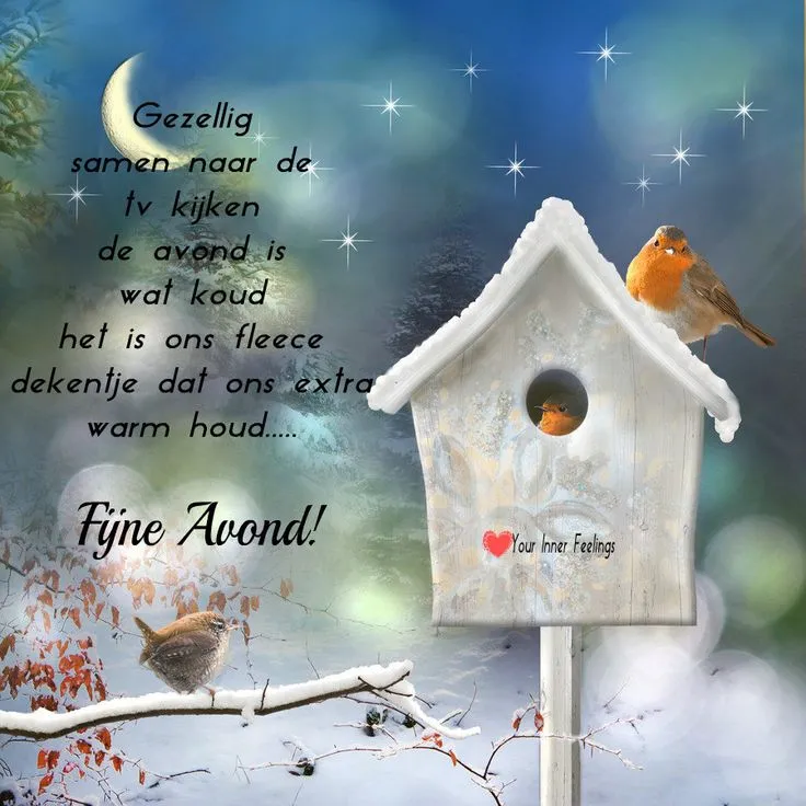 Nostalgische afbeelding met een vogelhuisje en een roodborstje in winterse setting.