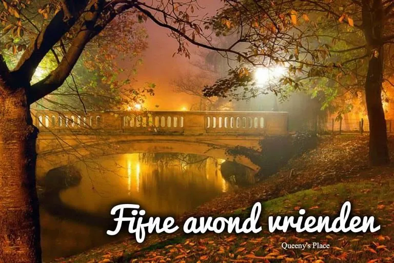 ᐅ fijne avond afbeeldingen - Fijne avond plaatjes Mistig park met een brug, lichten reflecteren in het water. Tekst: 'Fijne avond vrienden'.