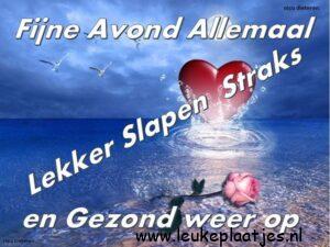 fijne avond allemaal