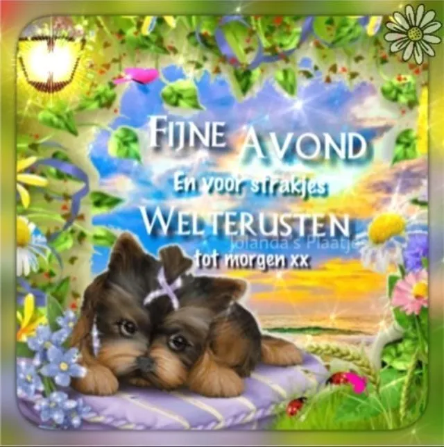 ᐅ fijne avond allemaal - Fijne avond plaatjes Afbeelding van een schattige hond met een tekstwens voor een fijne avond.