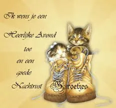 ᐅ fijne avond allemaal - Fijne avond plaatjes Twee kittens zitten in een paar schoenen met een wens voor een goede nacht.