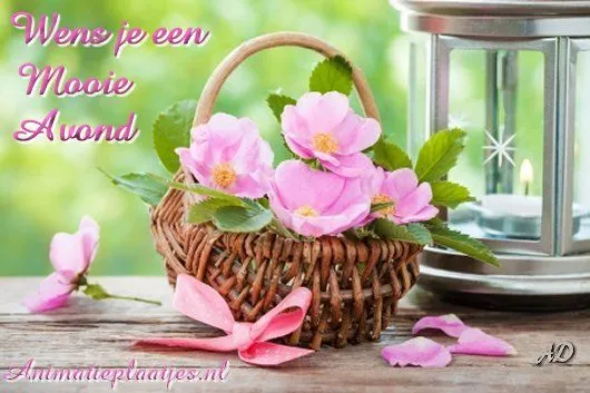 Mand met roze bloemen en een kaars op de achtergrond, wens een mooie avond.