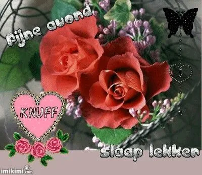 Rozen in een mand met de tekst "Fijne avond" en "Slaap lekker".