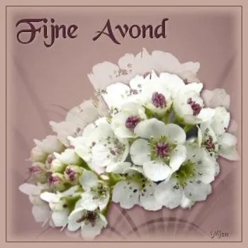 Bloemenarrangement op een zachte achtergrond met de tekst "Fijne Avond".