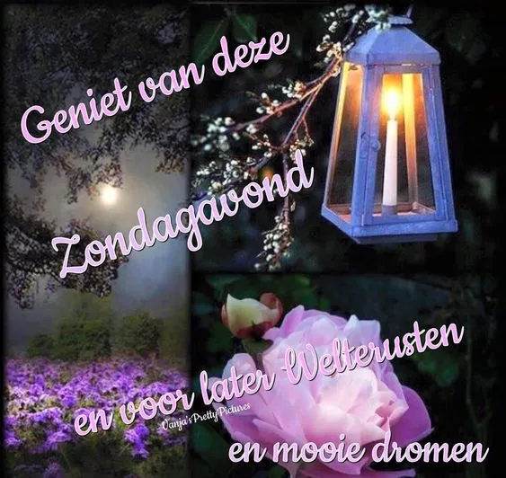 Een collage met een lantaarn, bloemen en een boodschap over genieten en welterusten.