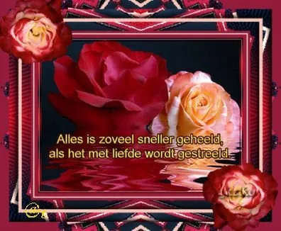 Twee rozen met tekst over de snelheid van liefde op een decoratieve achtergrond.