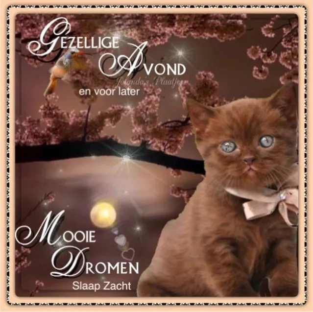 ᐅ fijne avond en slaap lekker - Fijne avond plaatjes Een schattige kat op een achtergrond van bloeiende bomen en sterren. Slaap lekker!