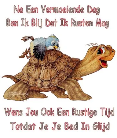 ᐅ fijne avond en slaap lekker - Fijne avond plaatjes Een schildpad met een vogel, omringd door tekst over rusten en ontspanning.