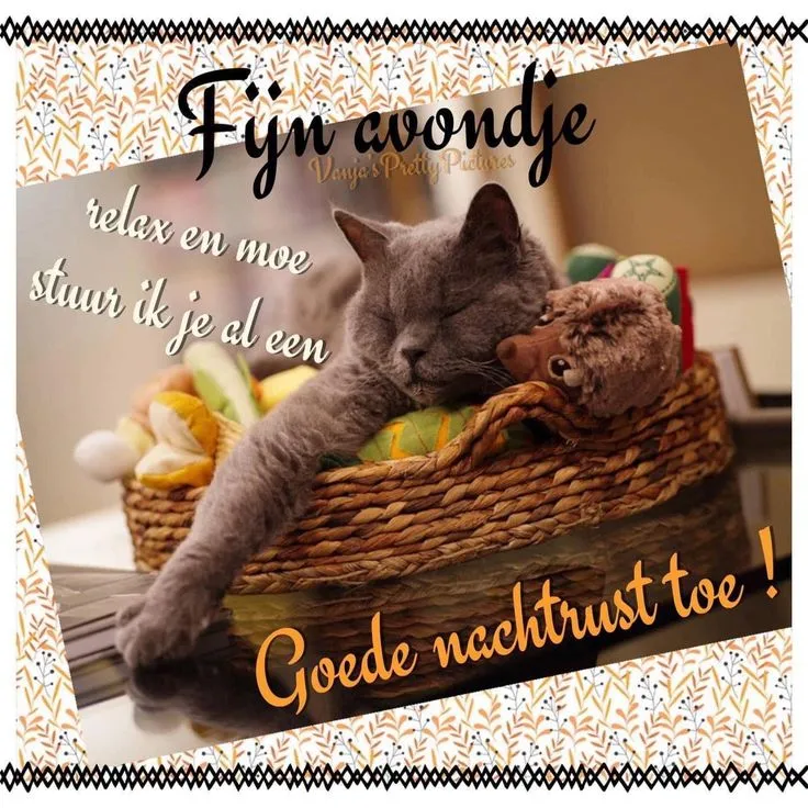 ᐅ fijne avond en slaap lekker - Fijne avond plaatjes Grijze kat in mand met speelgoed, tekst: "Fijn avondje, goede nachtrust toe!"
