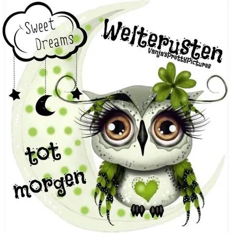 ᐅ fijne avond en slaap lekker - Fijne avond plaatjes Een schattige uil op een maan met de tekst "Welterusten, tot morgen."