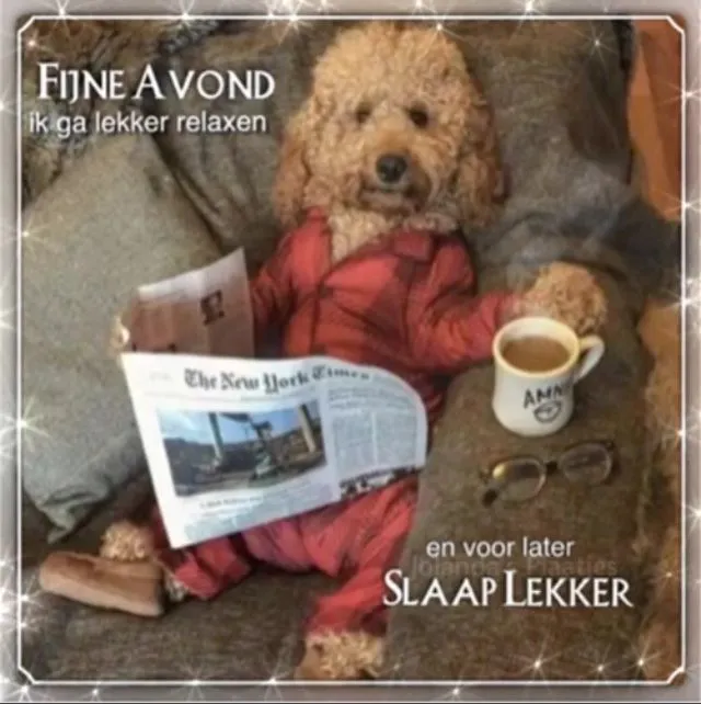 ᐅ fijne avond en slaap lekker - Fijne avond plaatjes Een hond in een pyjama leest een krant en drinkt koffie op een bank.