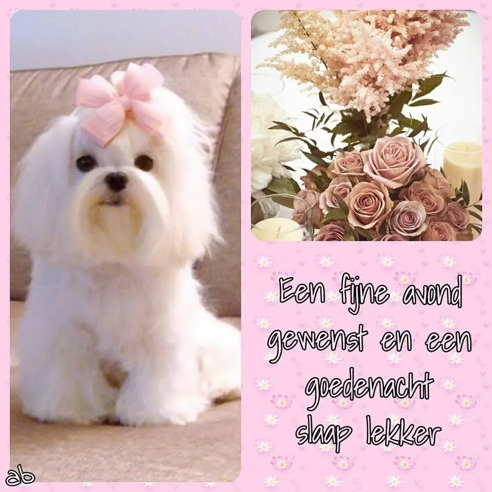ᐅ fijne avond en slaap lekker - Fijne avond plaatjes Witte hond met strik en een boeket bloemen op een roze achtergrond. Goede nacht gewenst.