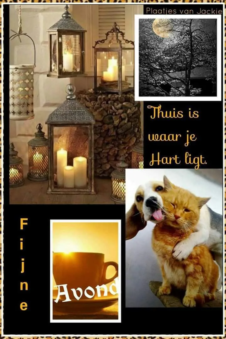 ᐅ fijne avond en slaap lekker - Fijne avond plaatjes Afbeelding van kaarsen, een kat en een hond met teksten over thuis en avond.