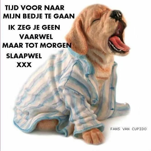 ᐅ fijne avond en slaap lekker - Fijne avond plaatjes Een schattige puppy in pyjama, gaande naar bed met een slaaptijd boodschap.