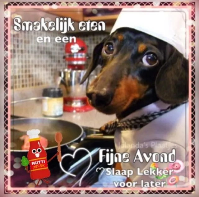 ᐅ fijne avond en slaap lekker - Fijne avond plaatjes Een teckel in een chefsuniform, kookt met een pan op het fornuis.