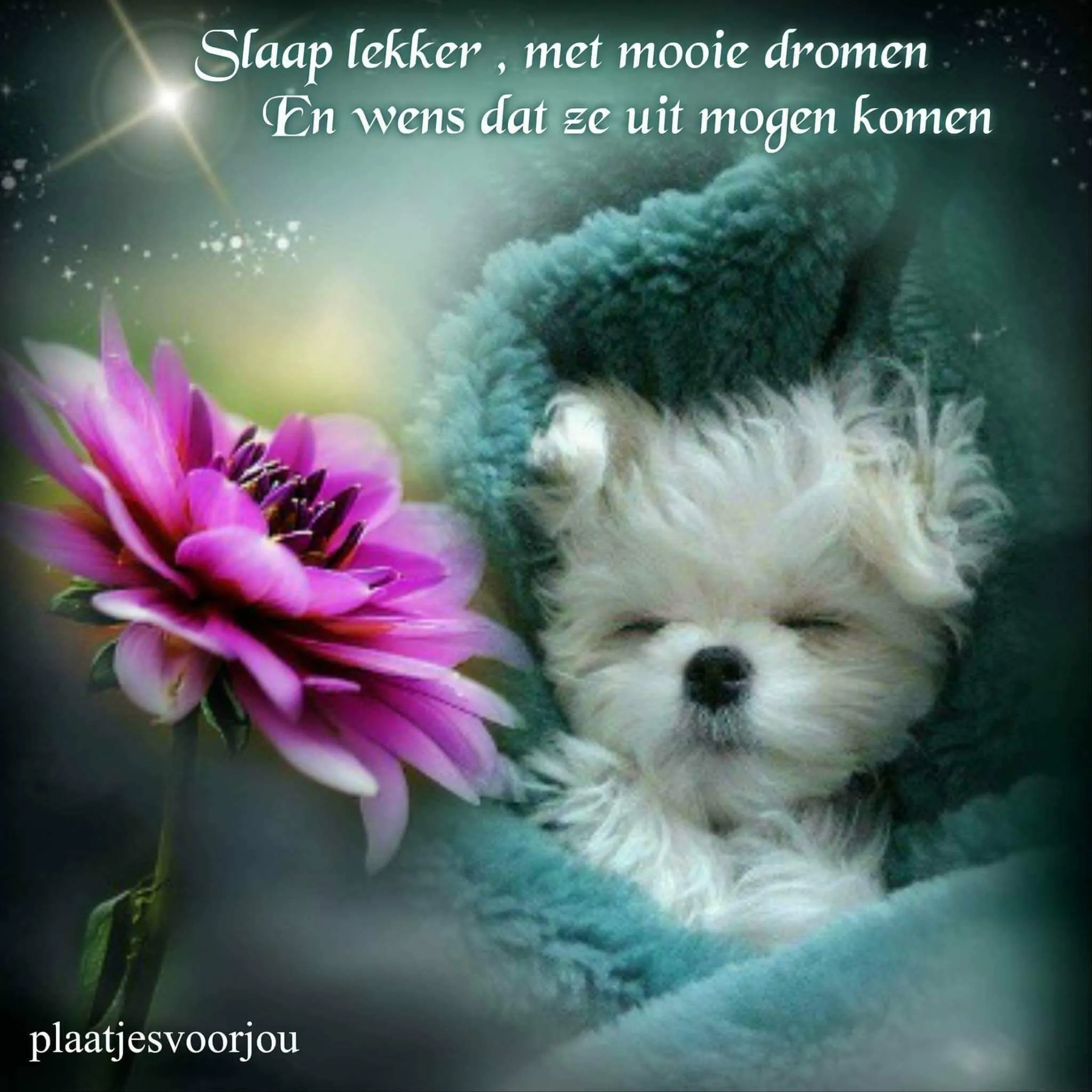 ᐅ fijne avond en slaap lekker - Fijne avond plaatjes Een schattige puppy slaapt in een deken met een grote bloem ernaast.