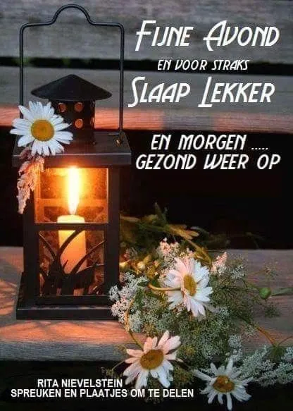 ᐅ fijne avond en slaap lekker - Fijne avond plaatjes Lantaarn met kaarslicht omgeven door bloemen en een boodschap voor een goede nacht.
