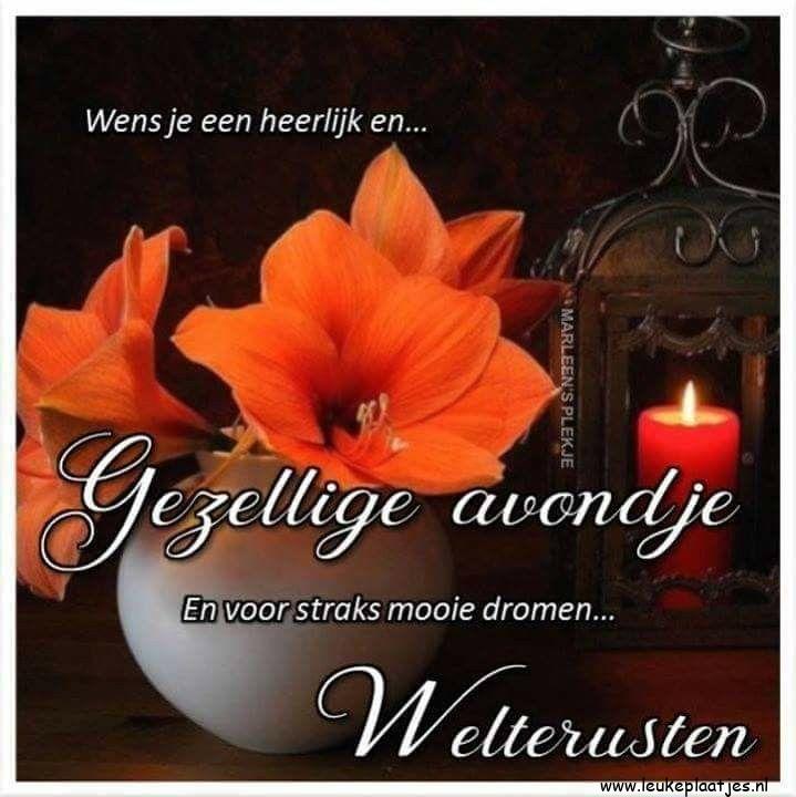 ᐅ fijne avond en voor straks welterusten - Fijne avond plaatjes