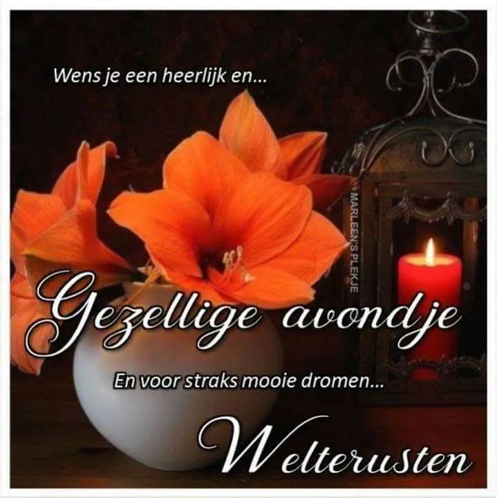 ᐅ fijne avond en voor straks welterusten - Fijne avond plaatjes Een vaas met oranje bloemen naast een kaars, met tekst over een gezellige avond.