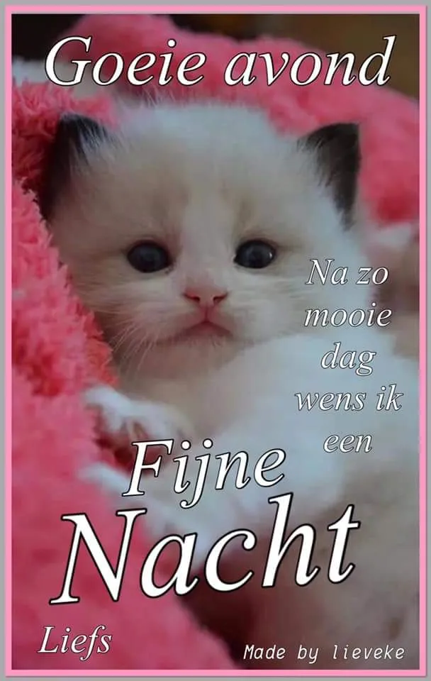 ᐅ fijne avond en voor straks welterusten - Fijne avond plaatjes Een schattige kitten op een roze achtergrond met de tekst "Fijne Nacht".