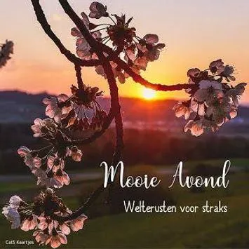 ᐅ fijne avond en voor straks welterusten - Fijne avond plaatjes Bloesems in de avondlucht met een ondergang op de achtergrond. Tekst onder afbeelding.