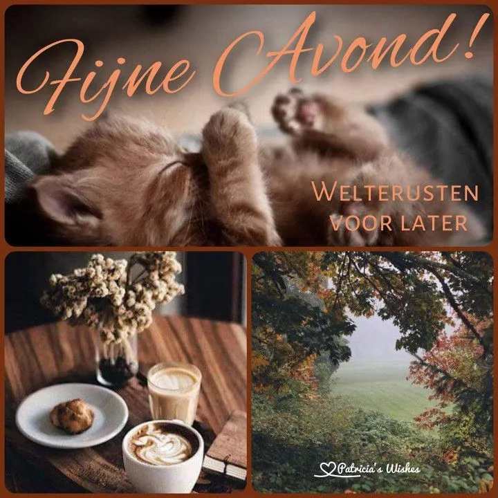 ᐅ fijne avond en voor straks welterusten - Fijne avond plaatjes Een schattige kat ligt te slapen, met koffie en natuurbeelden. Fijne avond gewenst!