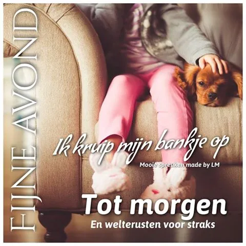 ᐅ fijne avond en voor straks welterusten - Fijne avond plaatjes Een hondje zit op de schoot van een persoon in een gezellige omgeving.