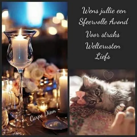 ᐅ fijne avond en voor straks welterusten - Fijne avond plaatjes Een sfeervolle avond met kaarsen en een kitten in een haarbandje.