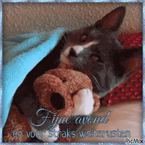 Een kat ligt onder een deken met een knuffelbeest, klaar om te slapen.