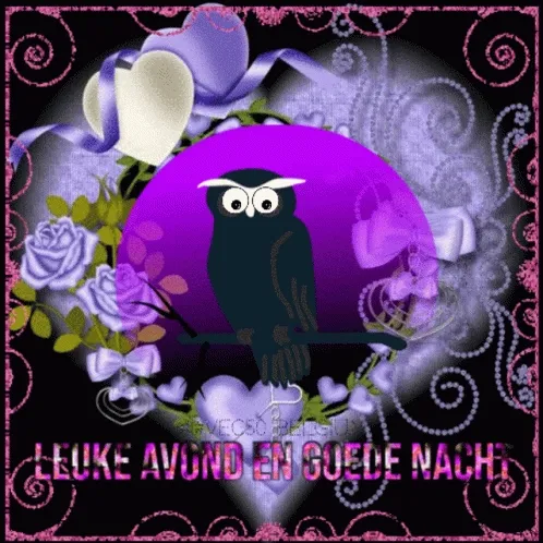 Uil met bloemen en de tekst 'Leuke avond en goede nacht' op een donkere achtergrond.