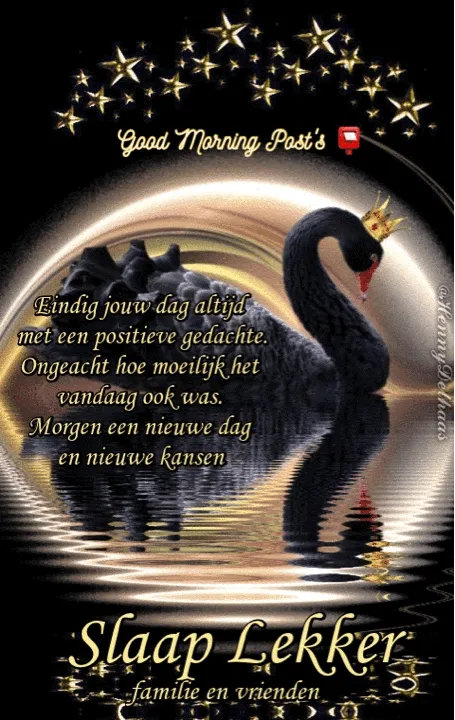 Zwarte zwaan met kroon op een sterrenacht achtergrond, positieve boodschap voor de dag.