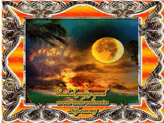 Zonsondergang boven de zee met palmbomen en een grote maan. Tekst: "Liefs van mij".