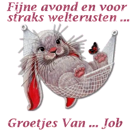 Een schattige kat in een hangmat met een vlinder, met een vriendelijke boodschap.