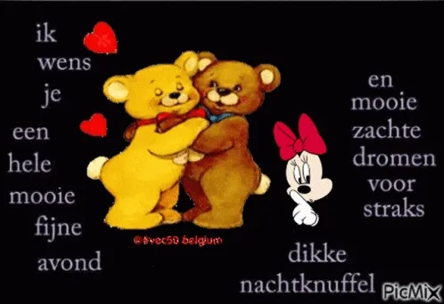 Twee knuffelende teddyberen met tekst over een fijne avond en dromen.