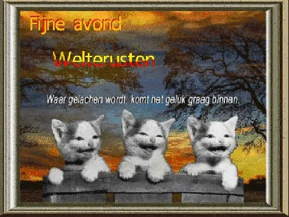 Drie katten op een hek met een kleurrijke avondlucht op de achtergrond. Tekst: Fijne avond.